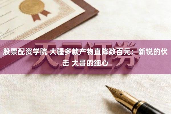 股票配资学院 大疆多款产物直降数百元：新锐的伏击 大哥的细心