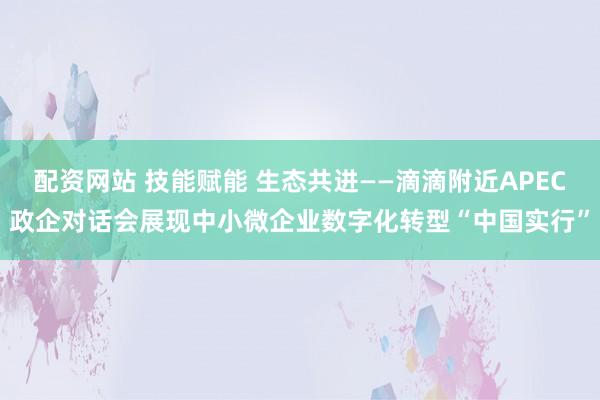 配资网站 技能赋能 生态共进——滴滴附近APEC政企对话会展现中小微企业数字化转型“中国实行”