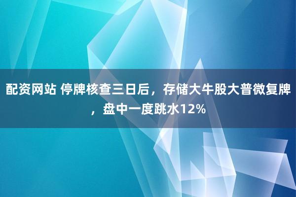配资网站 停牌核查三日后,存储大牛股大普微复牌,盘中一度跳水12%