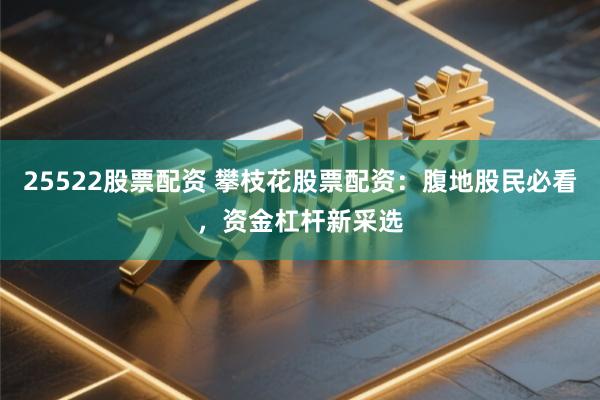 25522股票配资 攀枝花股票配资:腹地股民必看,资金杠杆新采选
